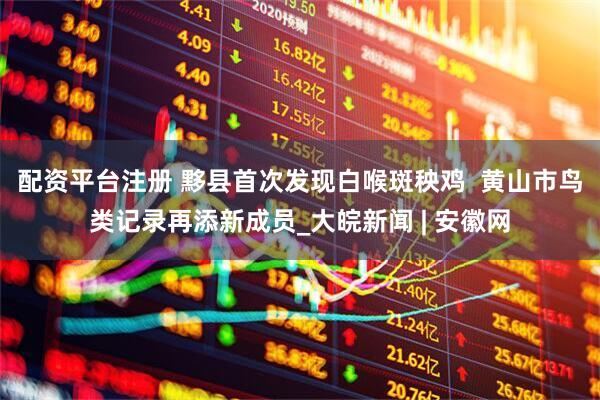 配资平台注册 黟县首次发现白喉斑秧鸡  黄山市鸟类记录再添新成员_大皖新闻 | 安徽网