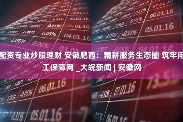 配资专业炒股理财 安徽肥西：精耕服务生态圈 筑牢用工保障网 _大皖新闻 | 安徽网